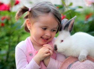 Disney Kuscheltier Kaninchen Kuscheltier Kaninchen Kuscheltier Tiere Material: Baumwoll-Gaze-Gewebe